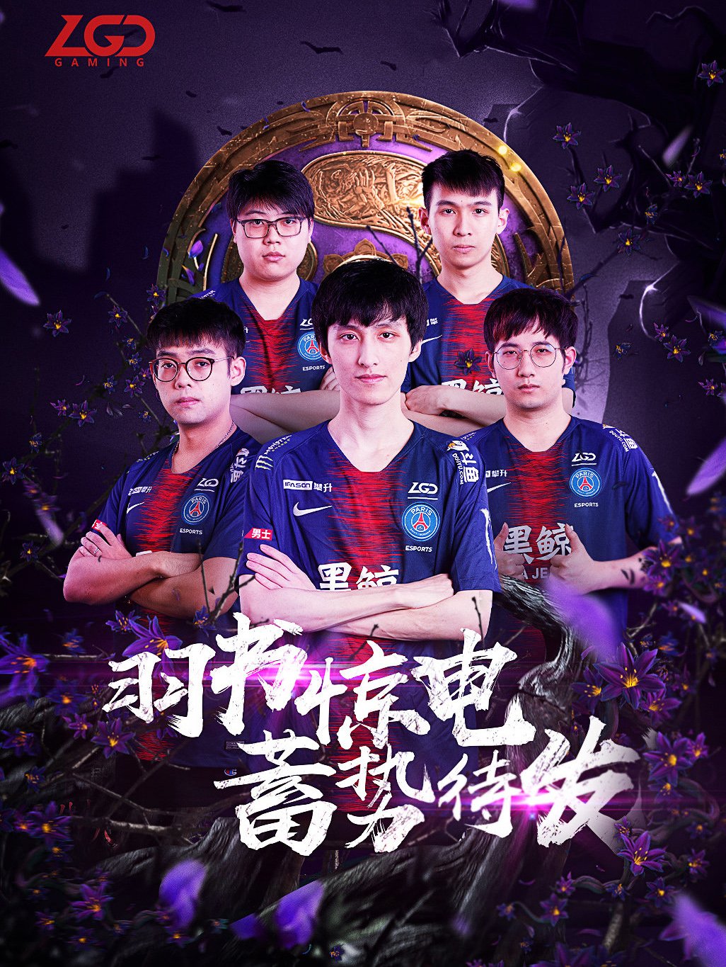 了极高的进 了极高的进